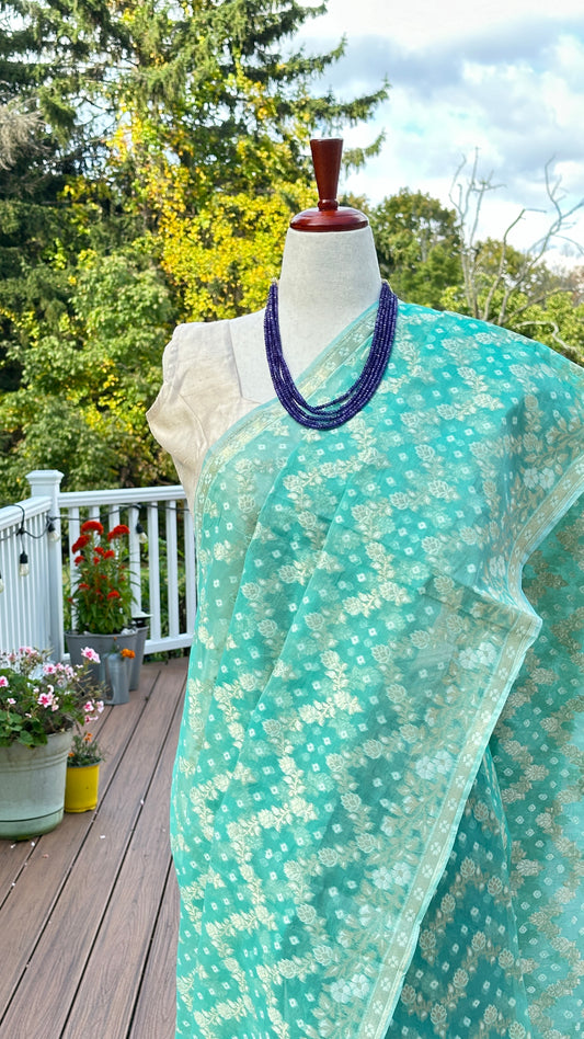 💚 Mint Bloom — Pure Silk-Cotton Chanderi Saree ✨
Mint-aqua with gold zari floral weave 🌿 Lightweight & elegant
Now $69 (was $99) | ready to ship from New Jersey