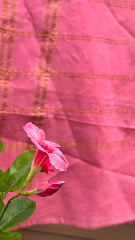 Pure handloom cotton sungudi saree in rosemilk pink