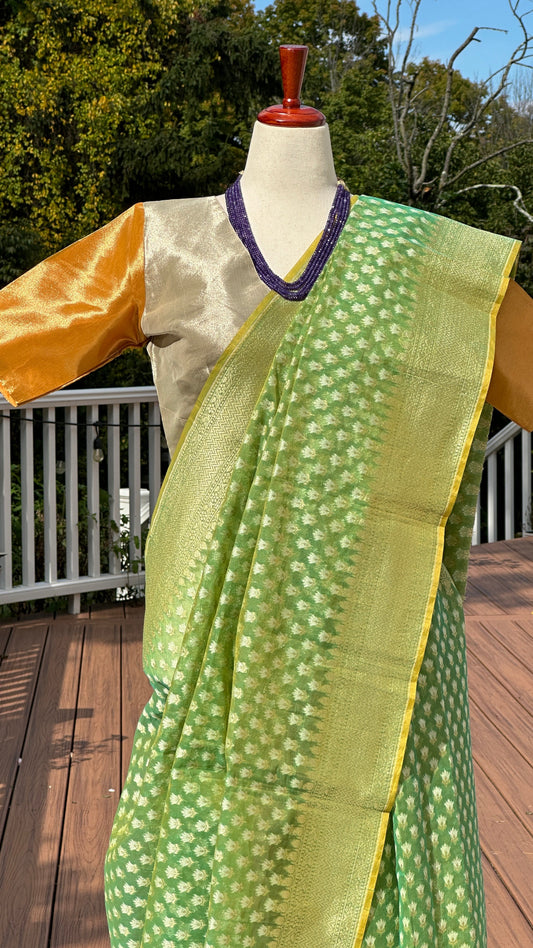 💚 Spring Green — Pure Silk-Cotton Chanderi Saree ✨
Fresh spring-green with soft gold zari buttas 🌿 Lightweight & elegant
Now $69 (was $112) | Ships from New Jersey | $5 USA Shipping 🇺🇸