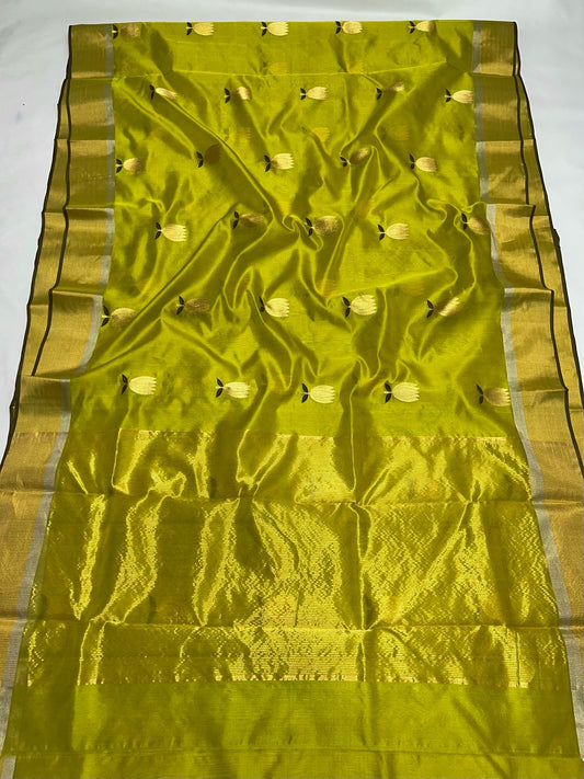 Chartreuse pure silk chanderi with silk thread and zari butties