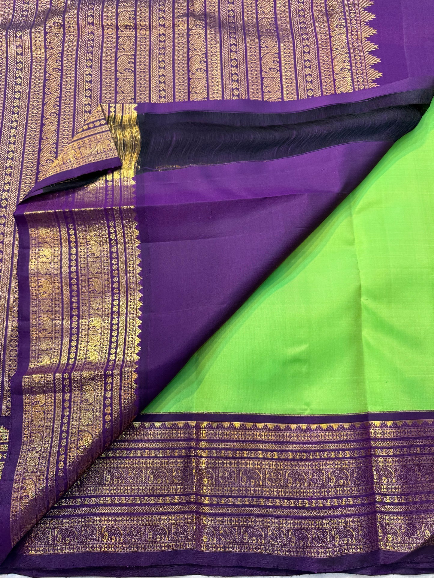 Arangetram — Parrot-Green Kanchipuram Pure Silk
Royal Purple Korvai Border 
Elephant Procession Panels & Coin Buttas
Rich Brocade Pallu • Blouse Included
Silk Mark Certified • Free USA Shipping • Ships in Two Weeks
