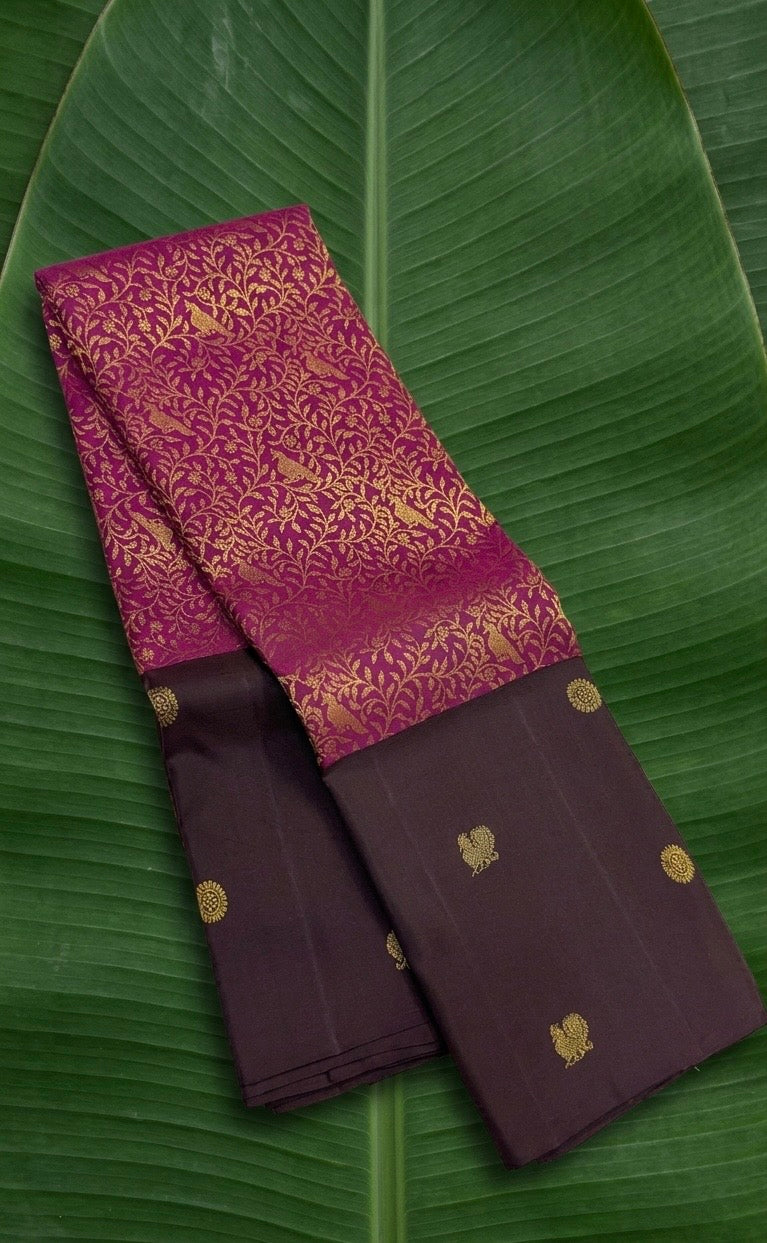 Cocoa brown Kanjivaram saree with rani pink floral jaal pallu – full length view