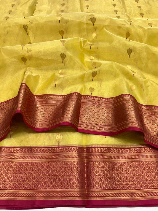 Yellow silk by katan tissue Chanderi handloom saree with antique gold zari border and red edging