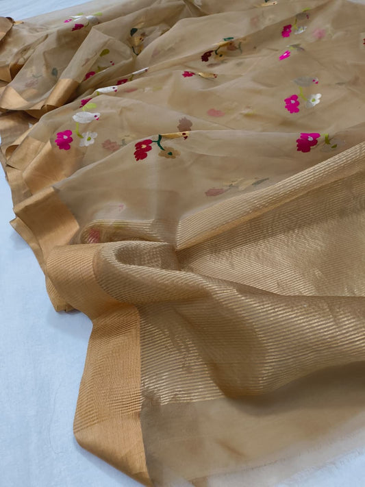 Pure Chanderi Silk Saree
Floral & Bird Embroidery on Sheer Gold-Beige
Tissue Zari Border • Lightweight • Elegant Drape