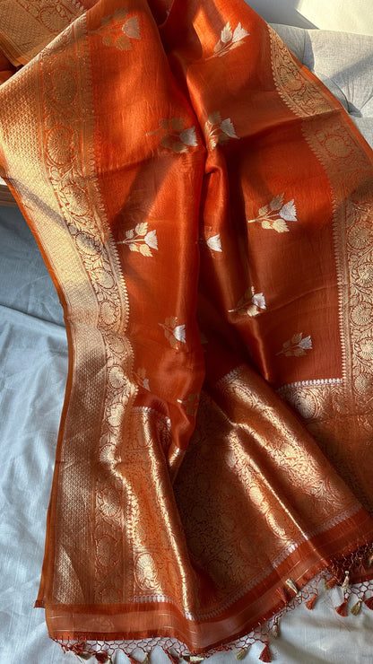 Pure silk kora Banarasi in kaduva weave - Amber