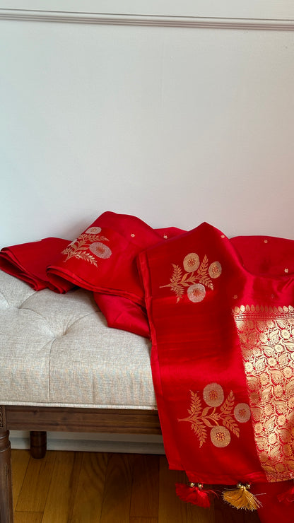 Pure silk kaduva Benares sarees “Raw mango” style - crimson / chilli red