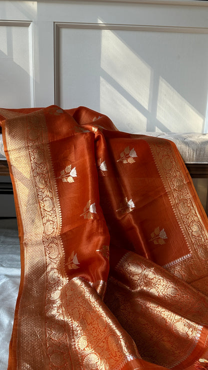 Pure silk kora Banarasi in kaduva weave - Amber