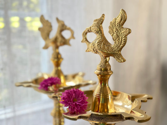 Price difference for Jayashree - Single use product link.

$169-$63 = $106
19” solid Brass Nagas pair 
shipping paid ✅
