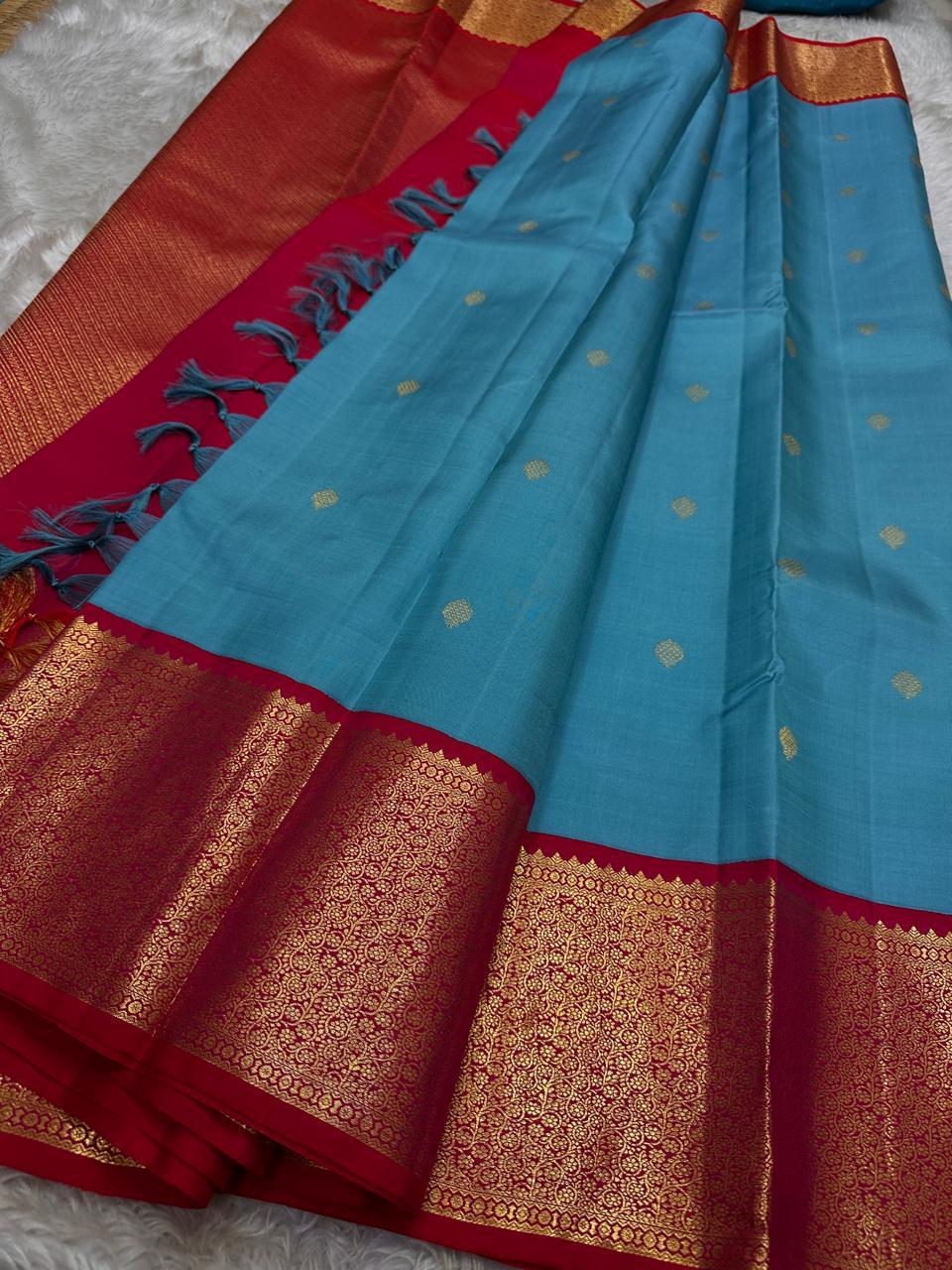 Full drape view of sky blue saree with red zari border, gold pallu and tassels
