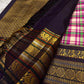 Full folded drape of multicolour Paalum Pazhamum Kanchi Pattu saree showing body and border