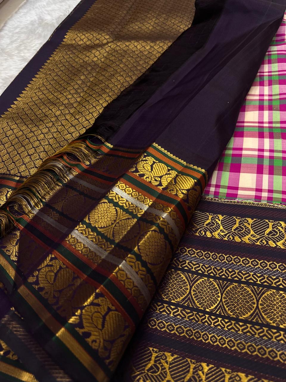 Full folded drape of multicolour Paalum Pazhamum Kanchi Pattu saree showing body and border