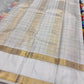 Full folded view of oversized multicolour Paalum Pazhamum Kanchipuram saree showing check body and navy border