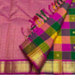 Vibrant multicolour Paalum Pazhamum silk check body on handwoven pure silk KanchiPattu saree — body close-up