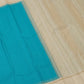 Ivory pallu of the Kanjipuram Kanchi Kattam saree with Rettapet parallel lines in pale gold zari