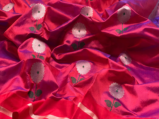 Full view of the Raspberry Red handloom Pattu Silk Chanderi saree with silver floral buttas and silver woven pallu