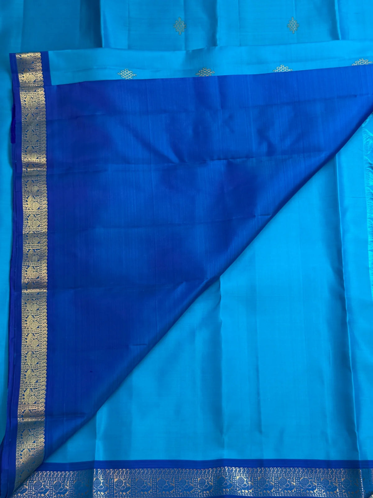 Aagaaya Neelam Kanchipuram butta saree with kolam pulli buttas, close view of the body