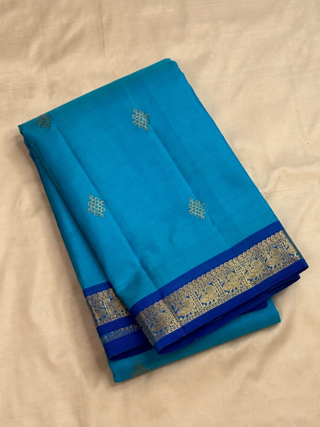 Aagaaya Neelam pure silk Kanchipuram saree, full view