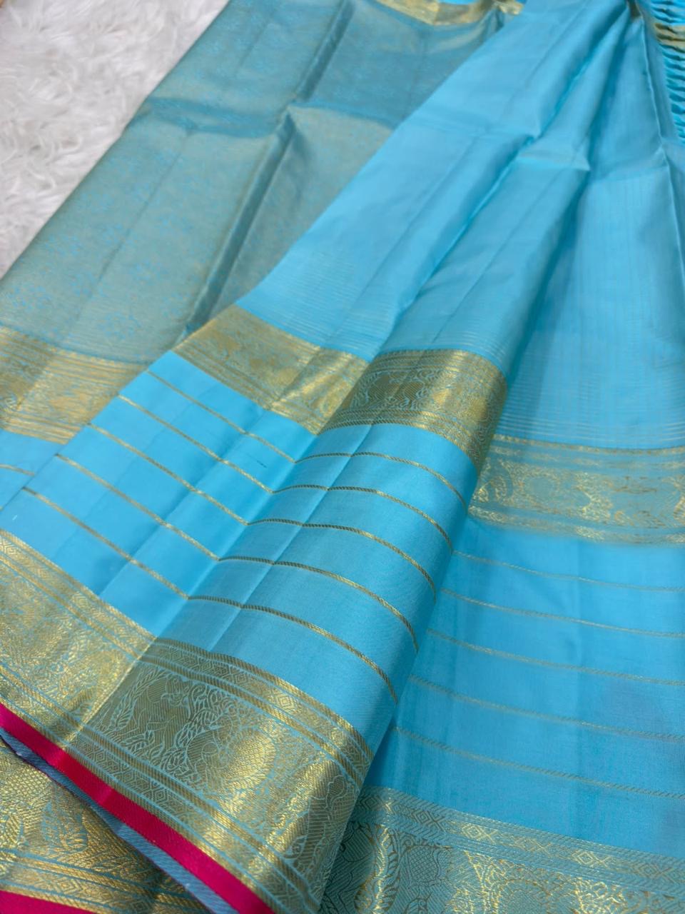 Handwoven Sky Blue Varisaipet saree with traditional antique-gold zari registers.