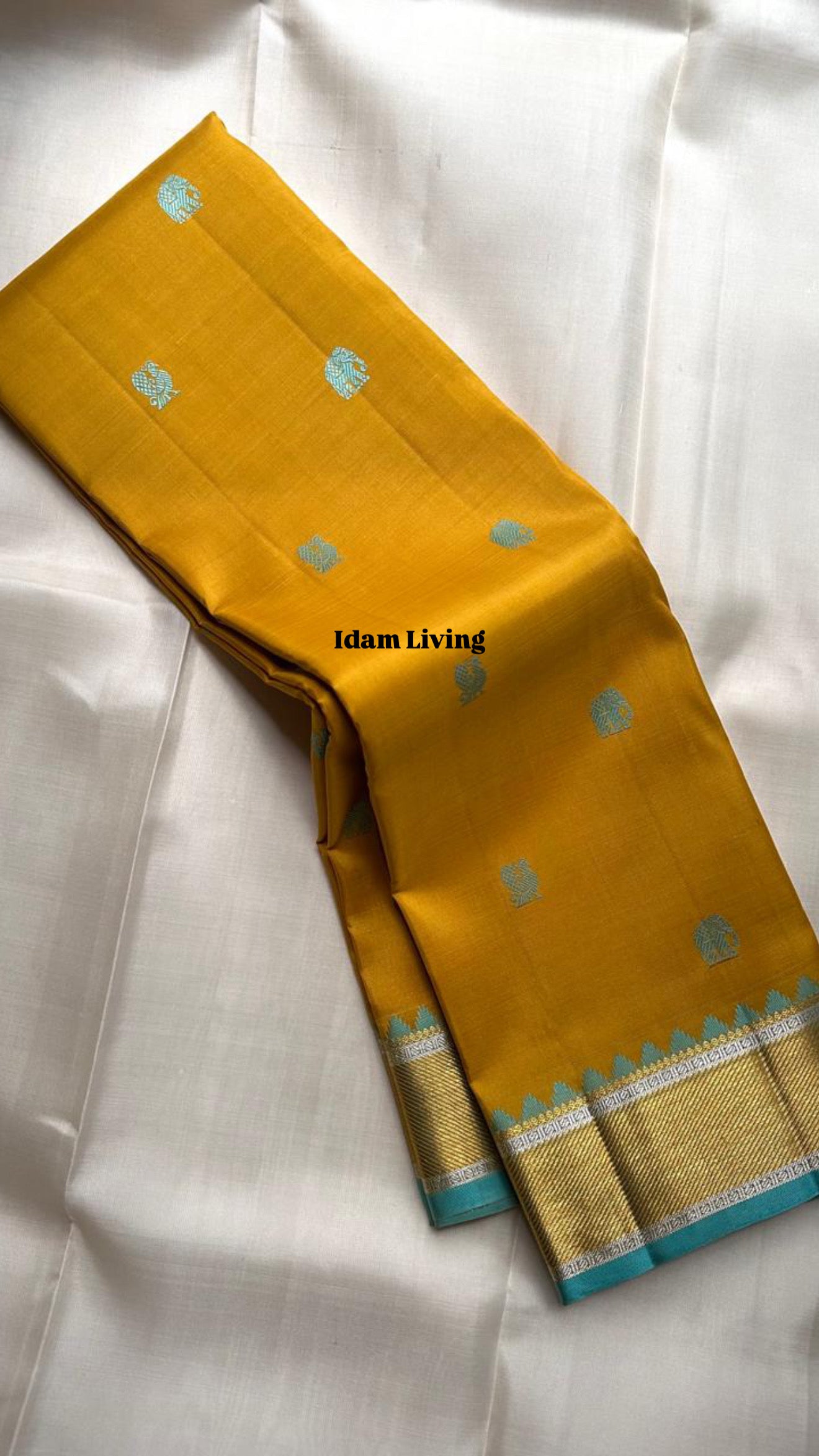 Robin egg blue pallu detail on handwoven Golden Turmeric Kancheepuram silk saree