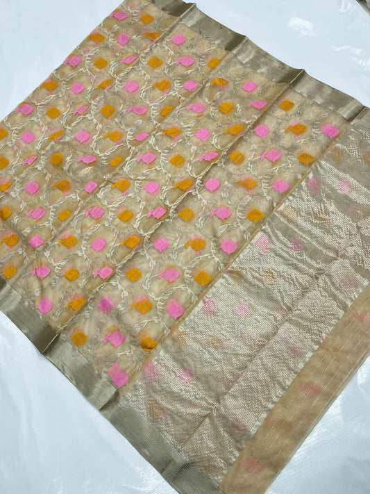 Champagne Katan Silk Chanderi saree with delicate floral pattern