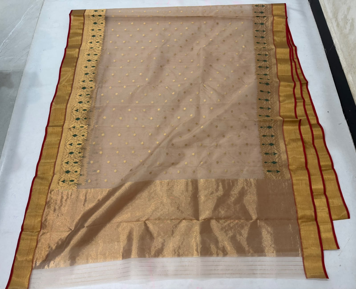 Champagne-beige Pattu Silk Chanderi with gold-toned border