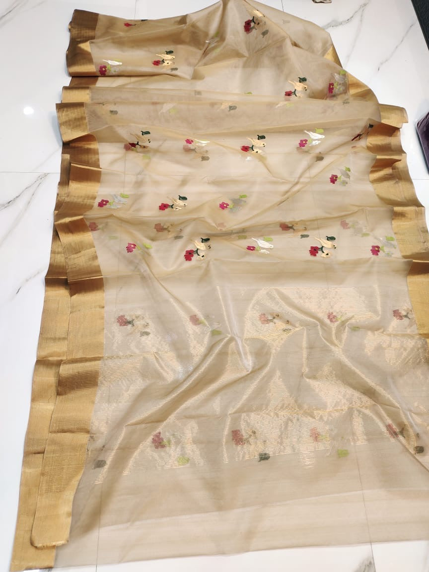 Champagne beige Chanderi Pattu silk saree showing its sheer golden body with floral buttas and wide gold border