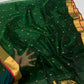 Emerald green handwoven Chanderi Pattu silk saree, full handwoven view
