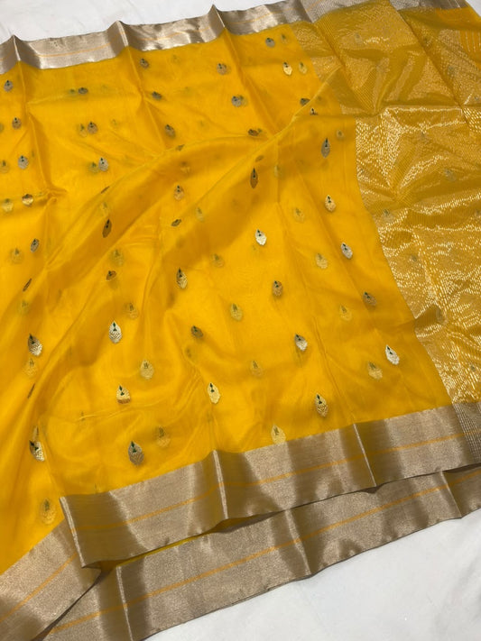 Turmeric golden yellow Katan silk Chanderi saree laid open showing small pale buttas and champagne-silver border
