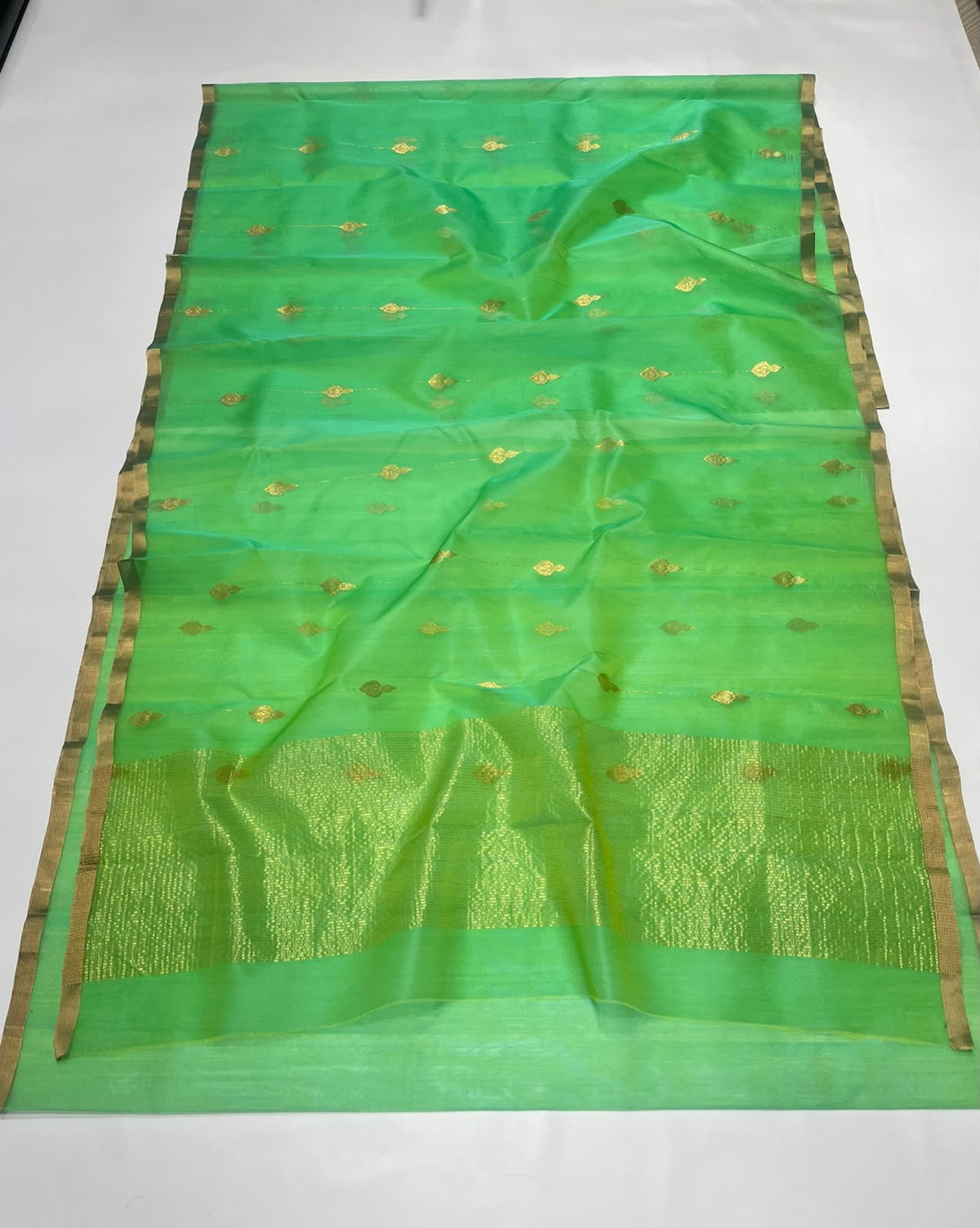 Sea glass green Chanderi saree opened to show small gold-toned butis and the broad shimmering woven pallu