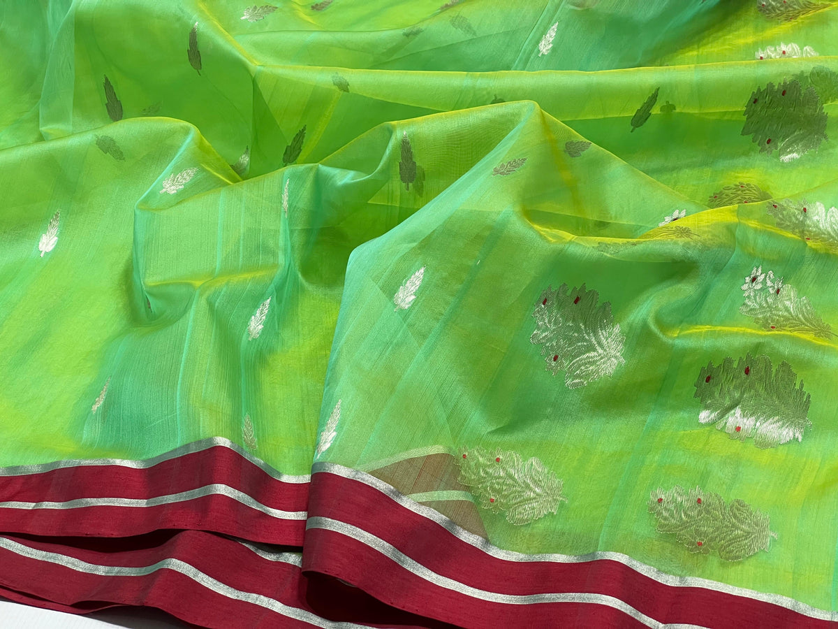 Fresh green Chanderi saree with metallic botanical motifs