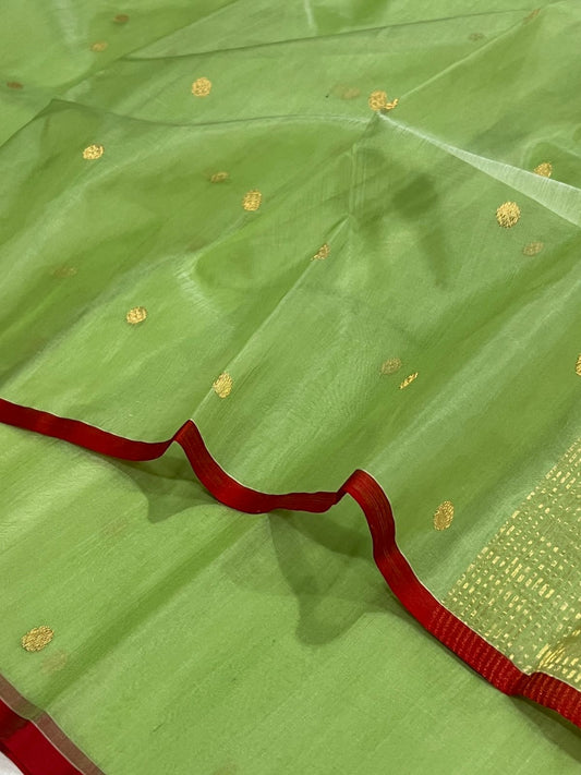 Full view of fresh leaf green Chanderi Katan Silk saree with gold buttas and fine zari pallu