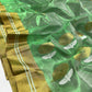 Broad metallic gold border with pale stripes on green Chanderi silk