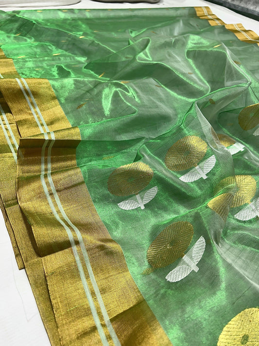 Broad metallic gold border with pale stripes on green Chanderi silk