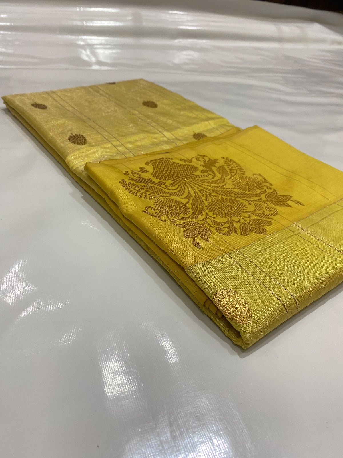 Turmeric Gold handloom Tissue Pattu Silk Chanderi saree body detail with fine linear checks and petite gold woven buttas