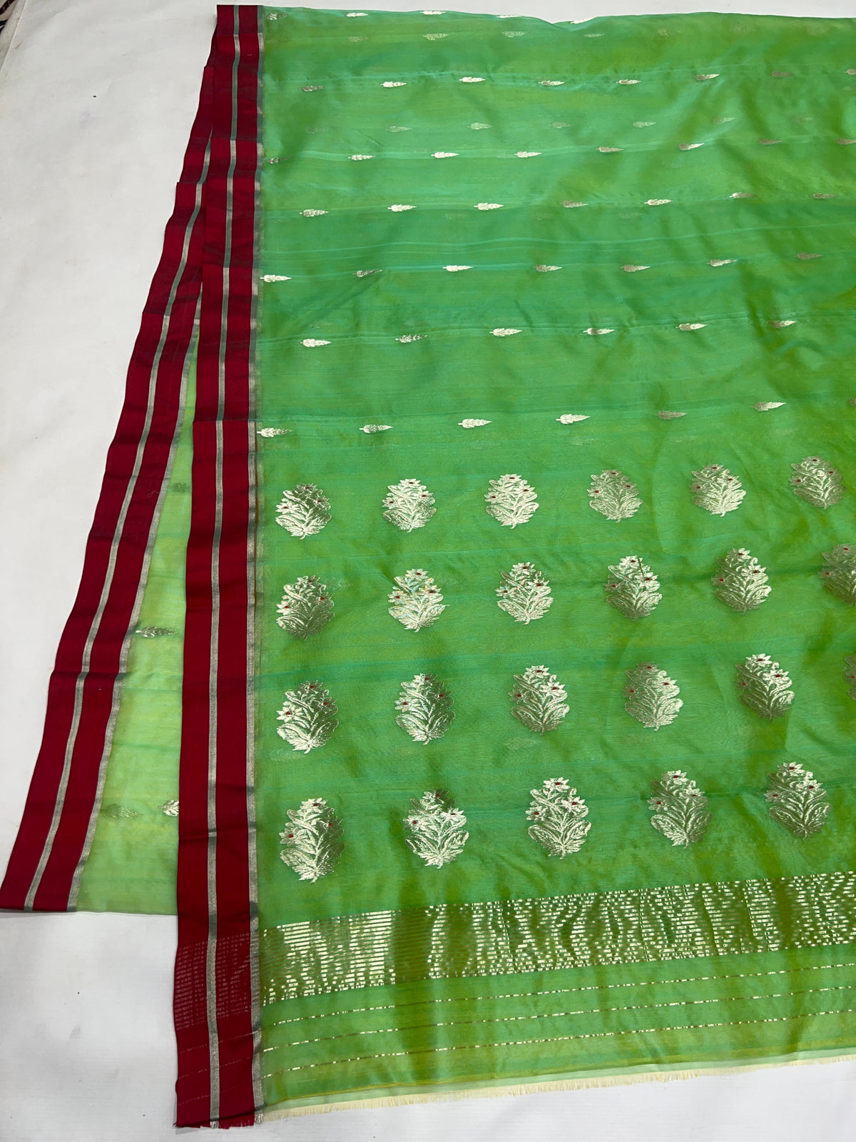 Handwoven green Chanderi saree with botanical motifs