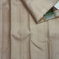 Champagne Ivory Pure Silk Kancheepuram Butta Saree with Bomkai-Inspired Grid Pallu – view 4