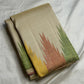 Ivory Ettukol Kanchipuram saree multicolour border detail