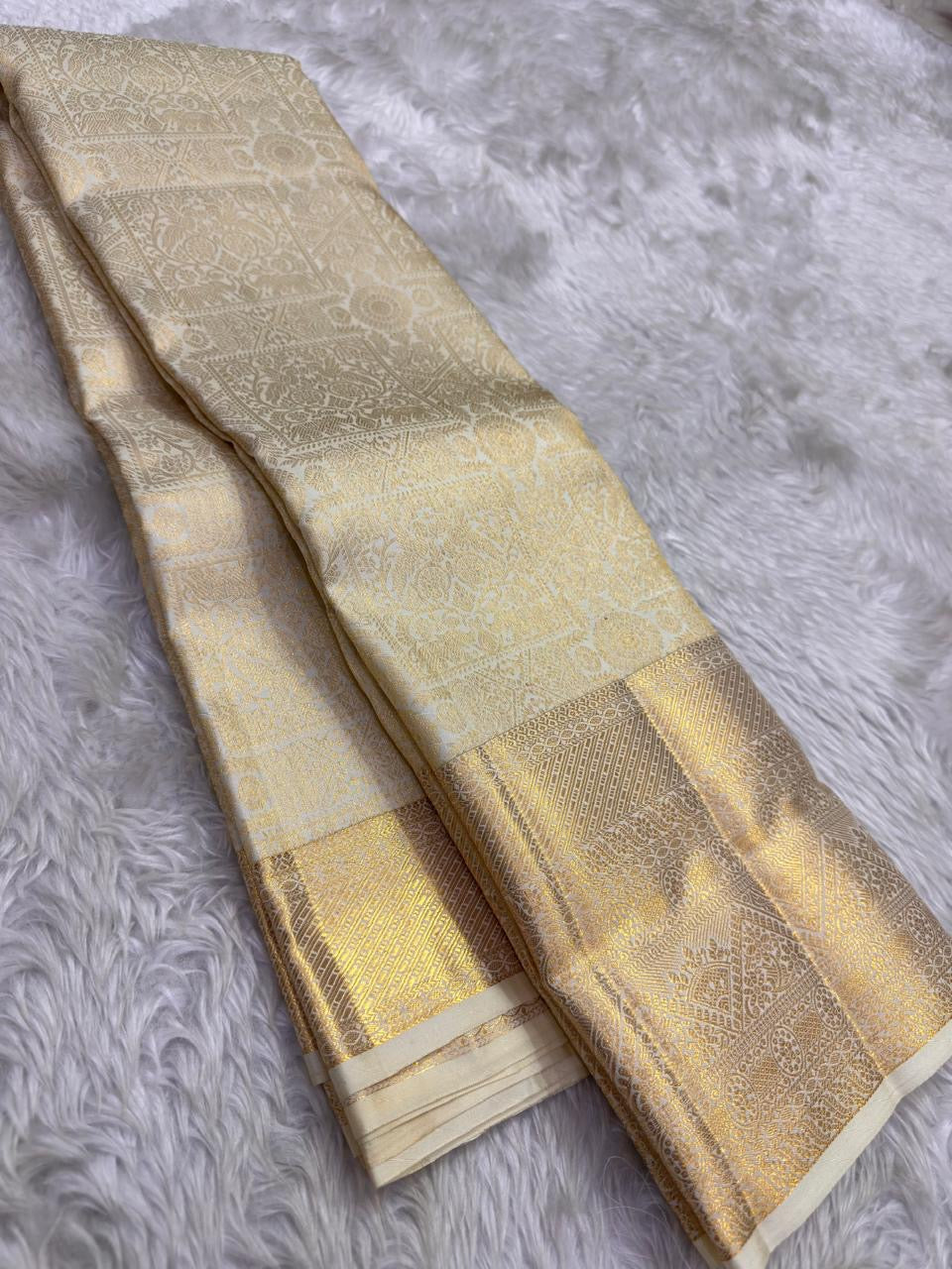 Champagne tissue pure silk saree body close up view