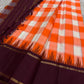 Handwoven Kesari Orange Kanchi Kattam Kanjivaram silk saree with deep purple border and gold zari pallu, worn for an Indian music school recital.
