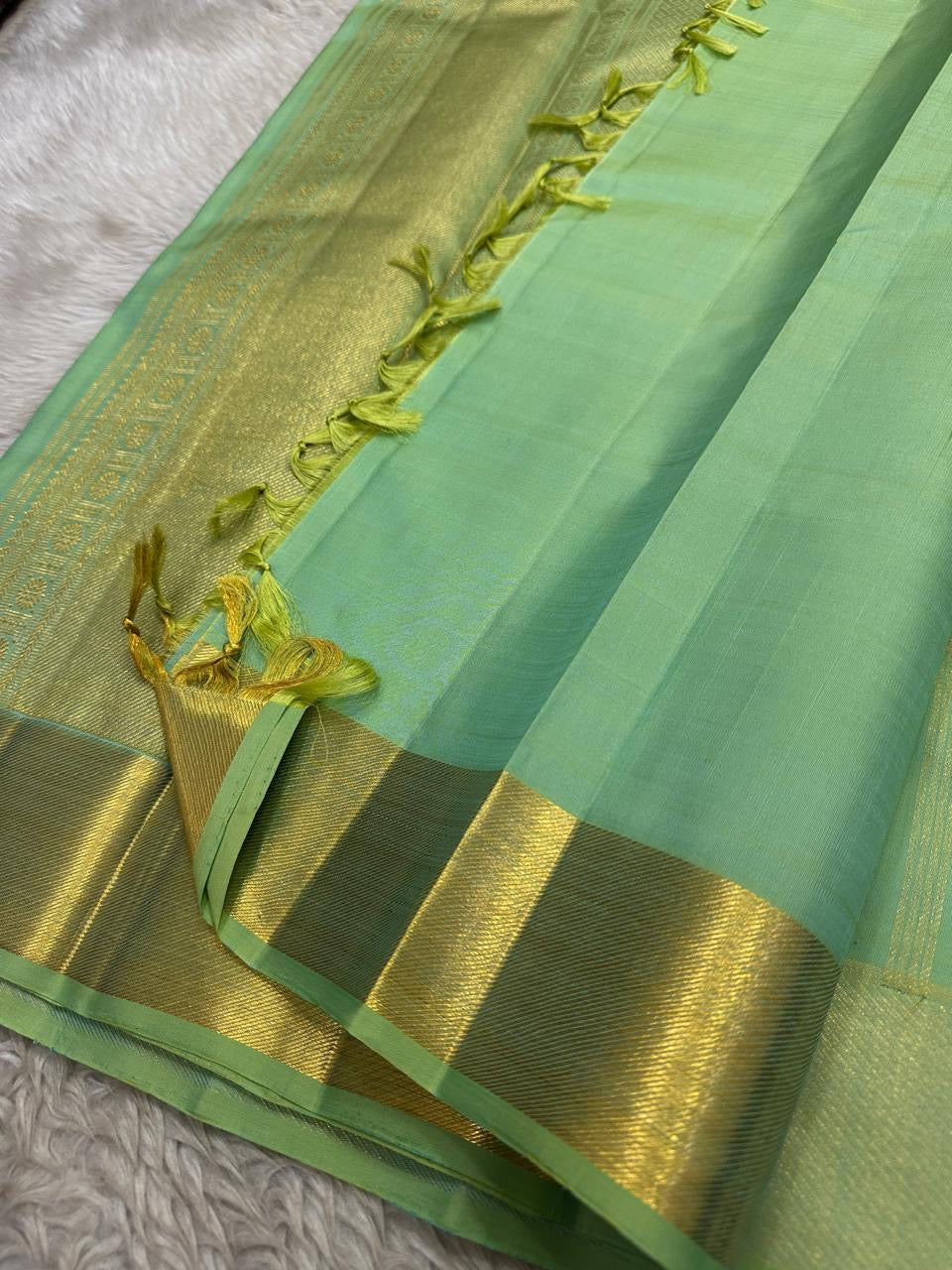 Aqua Mint and Pale Gold Kanchipuram silk Kattam saree.