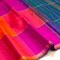 Multicolour Paalum Pazhamum Kanchipuram saree with large checks, styled view