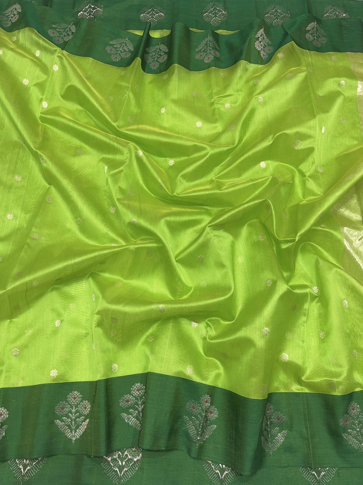 Parrot Green handloom Chanderi saree draped, showing silver floral buttas across the body