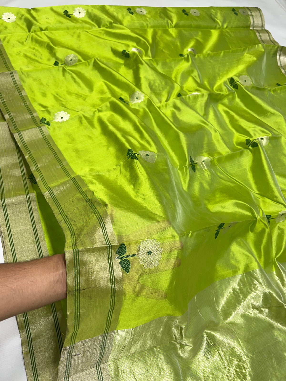 Full view of parrot green Pattu Silk Chanderi saree with pale metallic borders and reflective pallu.