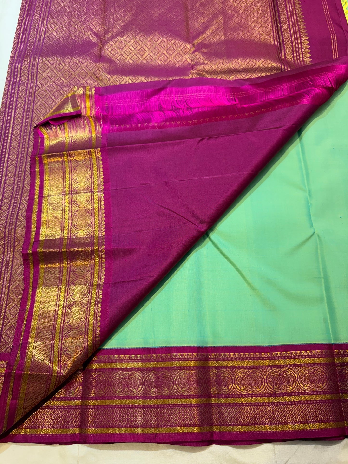 Body close-up of mint green Kanchi Pattu saree showing silk-thread buttas