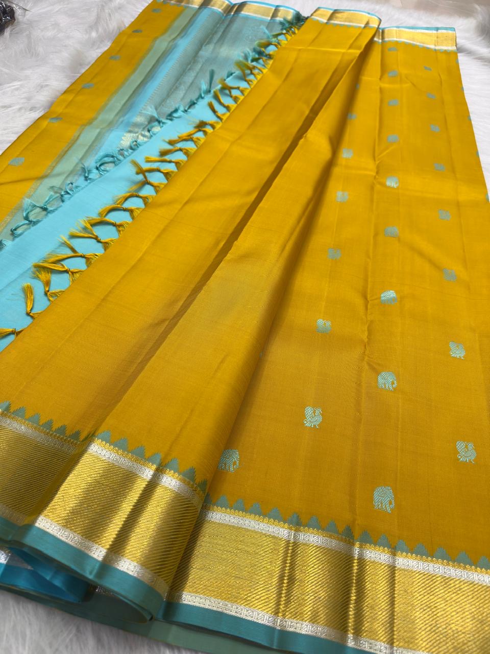 Robin egg blue thick zari border on Golden Turmeric Kancheepuram silk saree