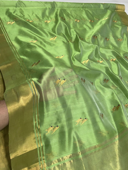 Spring Meadow Radiance Pure Silk Chanderi Saree folded view with Antique Gold Butta Border