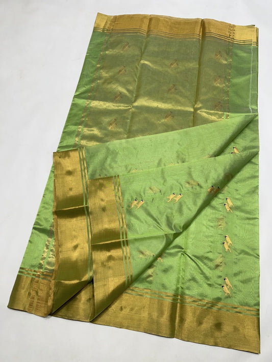Spring Meadow Radiance Pure Silk Chanderi Saree draped view with Antique Gold Butta Border