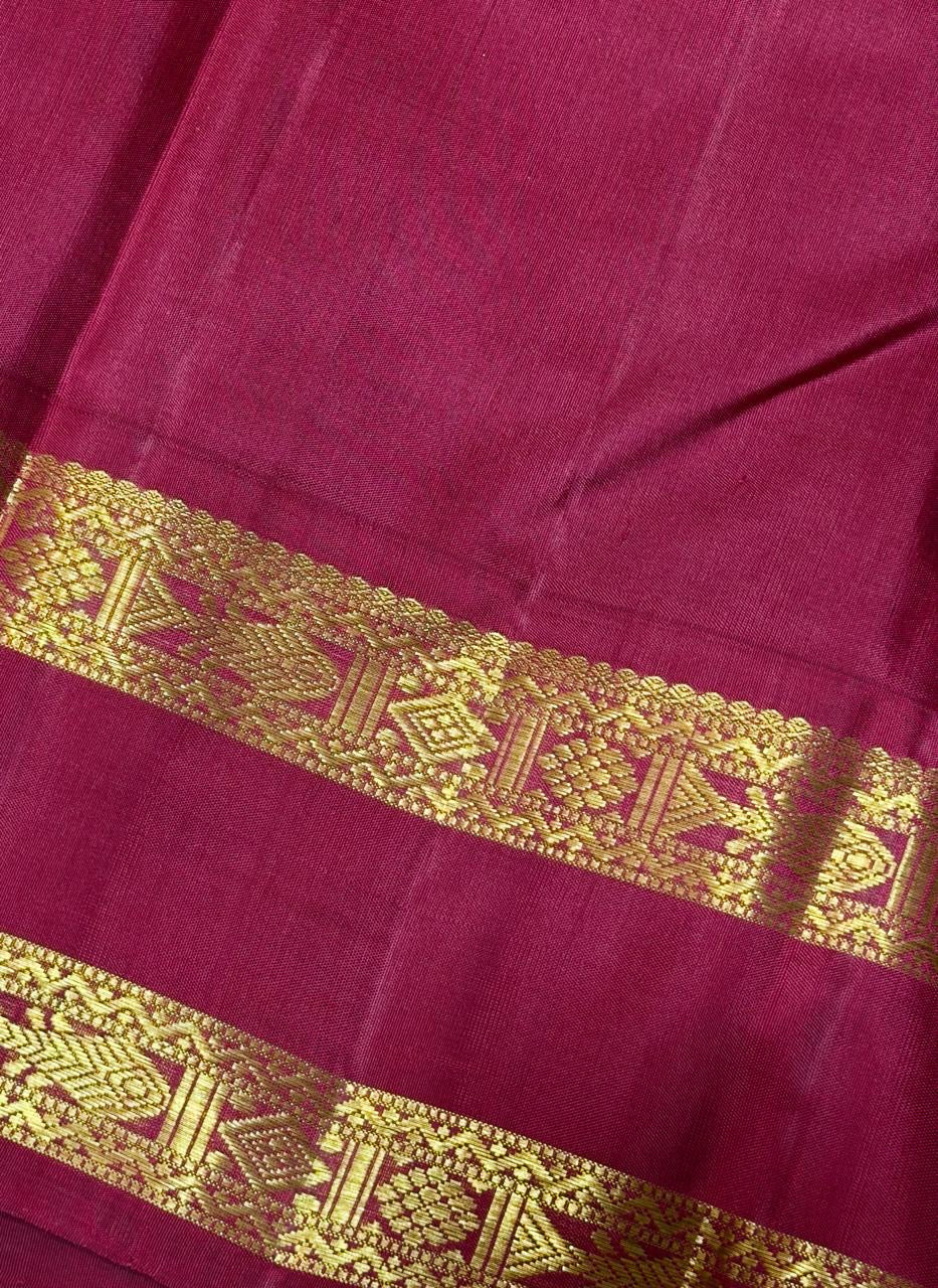 Pastel mint green handwoven pure silk Kanjivaram rettapet saree with Ganga-Jamuna borders, view 2