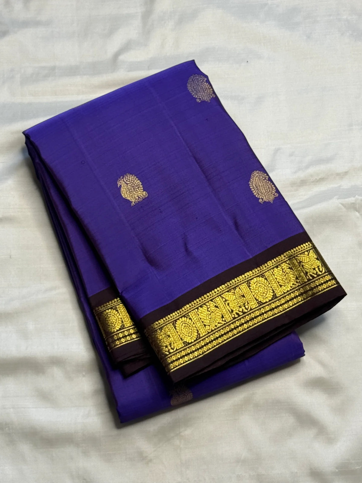 Handwoven Korvai saree with Deep Brown contrast border and antique-gold motif registers.