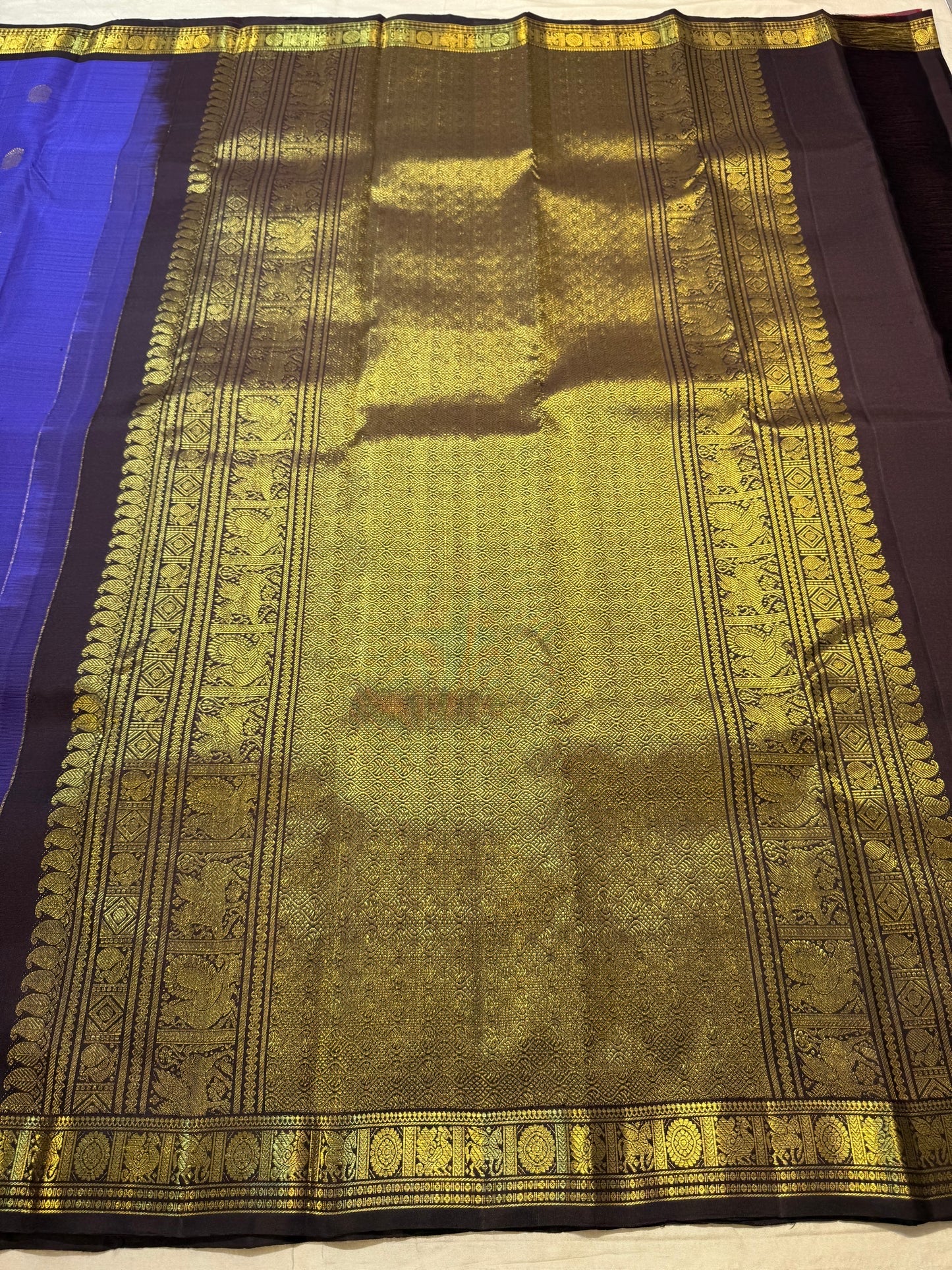 Deep Brown Korvai pallu with dense antique-gold zari weaving.
